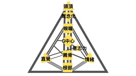 人類圖分析免費|人類圖各項解讀服務說明(2024.09.11更新)